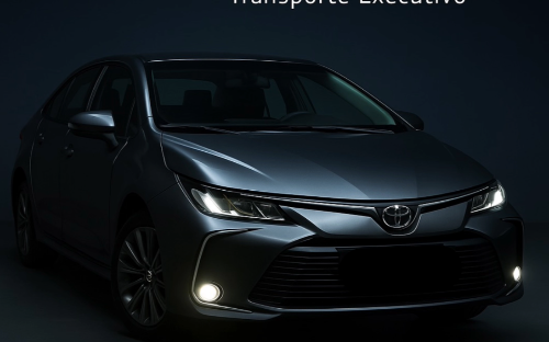 Veículos para cada necessidade