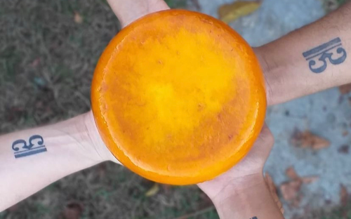 Derivados do leite de ovelha (queijos e iogurte)