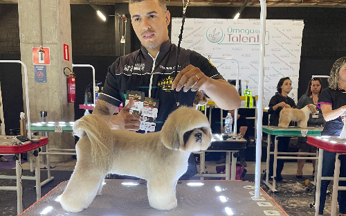 Estética Canina