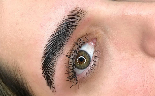 Curso Brow Lamination