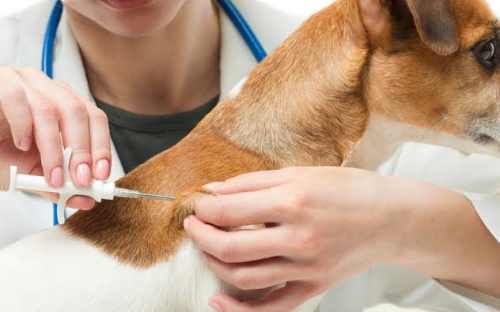 Aplicação de Microchip