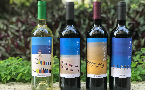 Catálogo Vinhos Personalizados