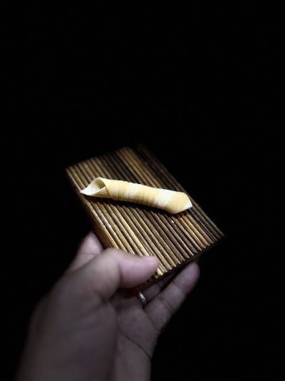 Garganelli