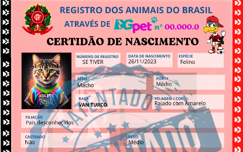 Certidão Nascimento de Time Esportivo - Para imprimir