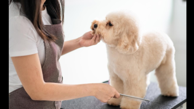 Precisa de Atendimento?