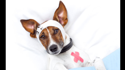 Precisa de Atendimento?