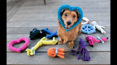 Precisa de Atendimento?