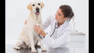 Precisa de Atendimento?