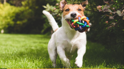 Precisa de Atendimento?