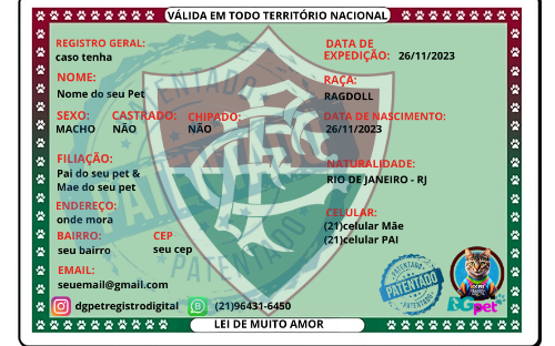 RG FLUMINENSE - Para PDF