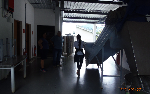 ( 2 )Rota do azeite