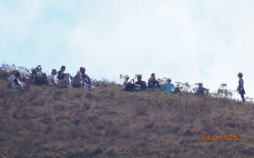 ( 21 ) PEDRA DO GAVIÃO