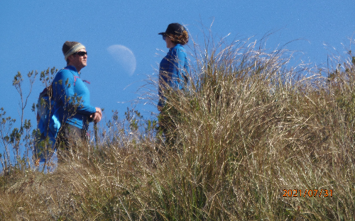 ( 16 ) TRILHAS PICO DO PAPAGAIO