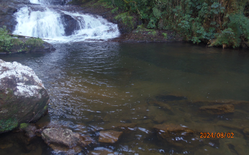 ( 24 ) CACHOEIRA 5 ESTRELA