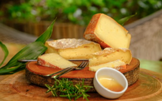 Derivados do leite de ovelha (queijos e iogurte)