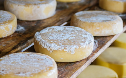 Derivados do leite de ovelha (queijos e iogurte)