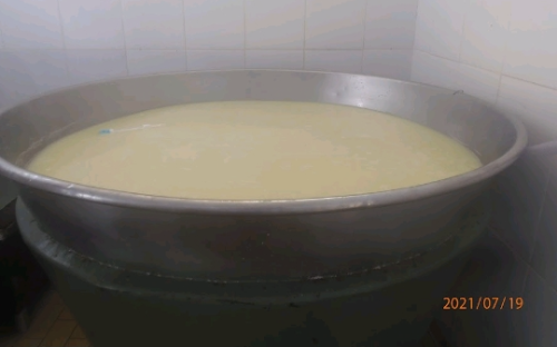 ( 9 )ROTA DO QUEIJO