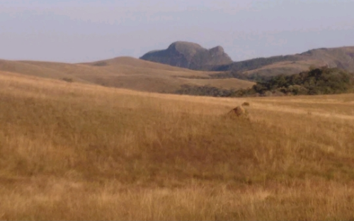 ( 15 ) TRILHA SERRA DA CARETA