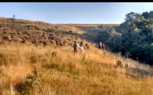 ( 15 ) TRILHA SERRA DA CARETA