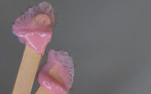 EPIAÇÃO NASAL