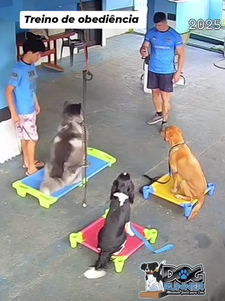 Creche